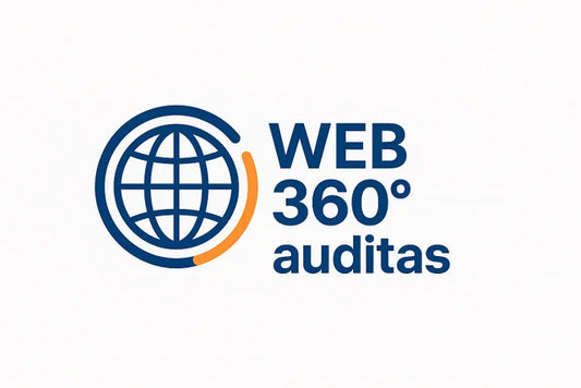Web 360° auditas